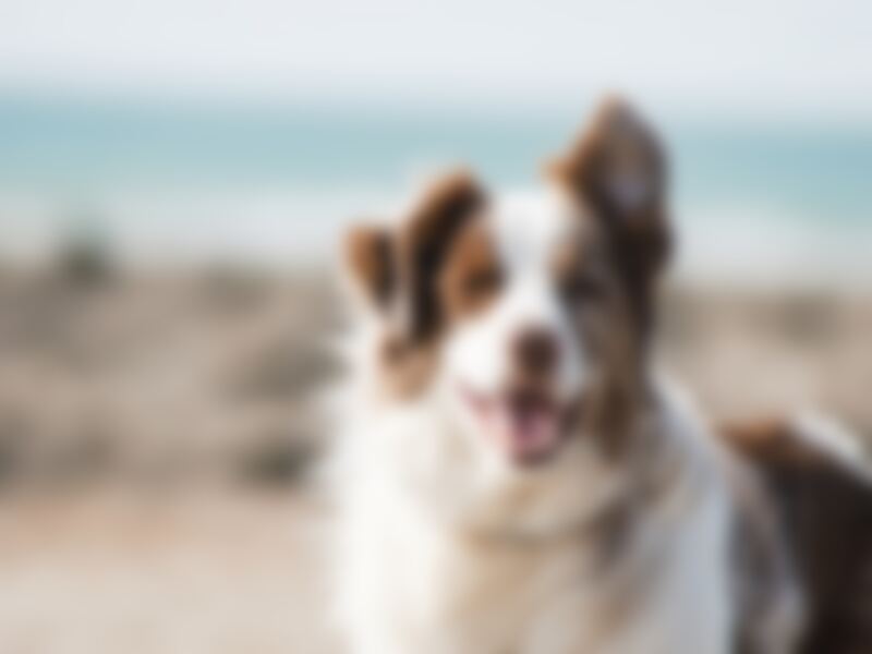 Blurred
